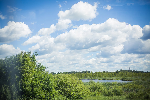 On the road to Konevo.