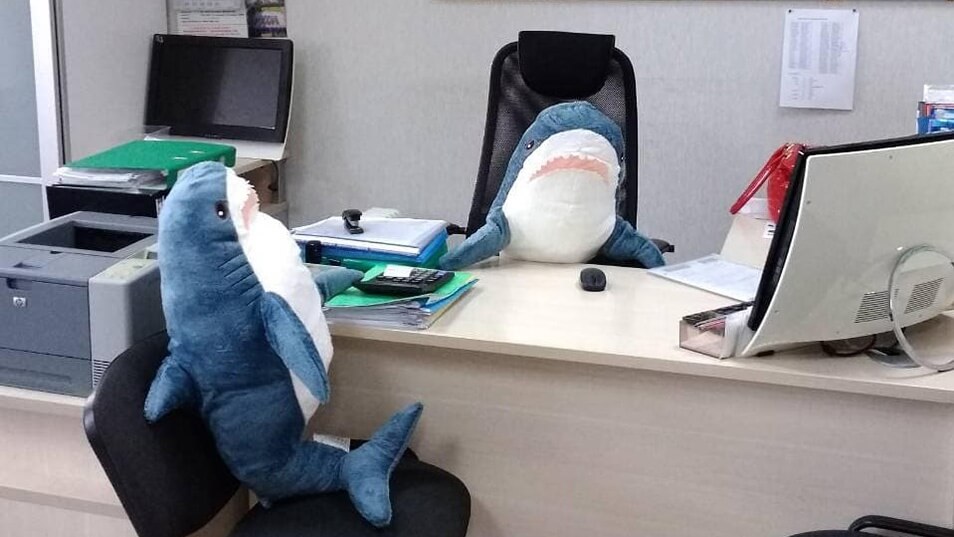 The sharks of business