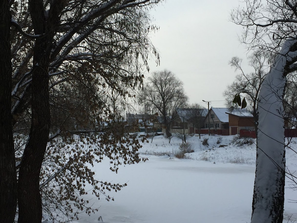 View from Dostoyevsky's house