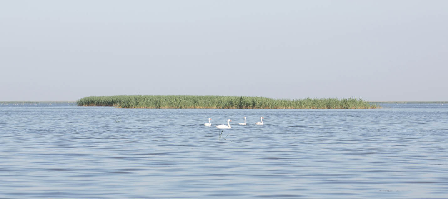 Astrakhan Nature Preserve