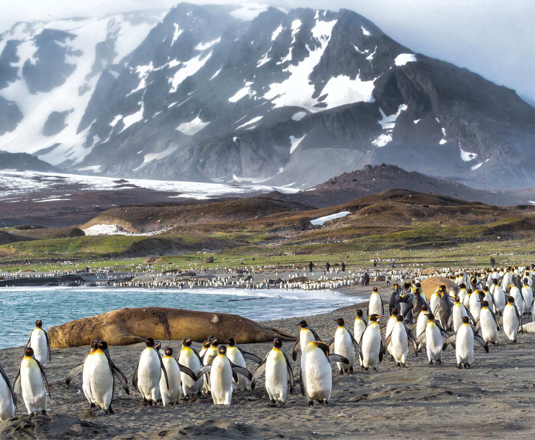 South Georgia Island