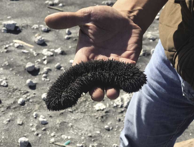 Holding magnetic ions.