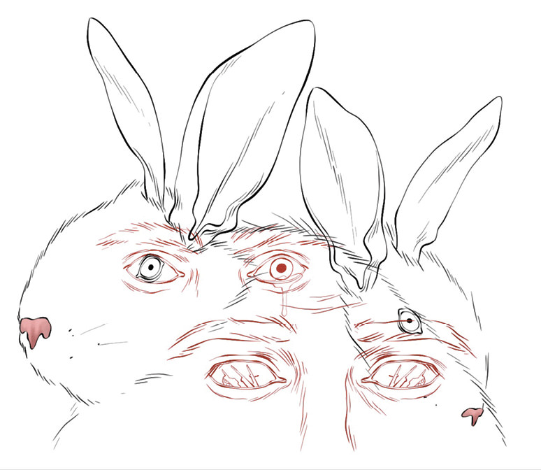 Drawing of rabbits