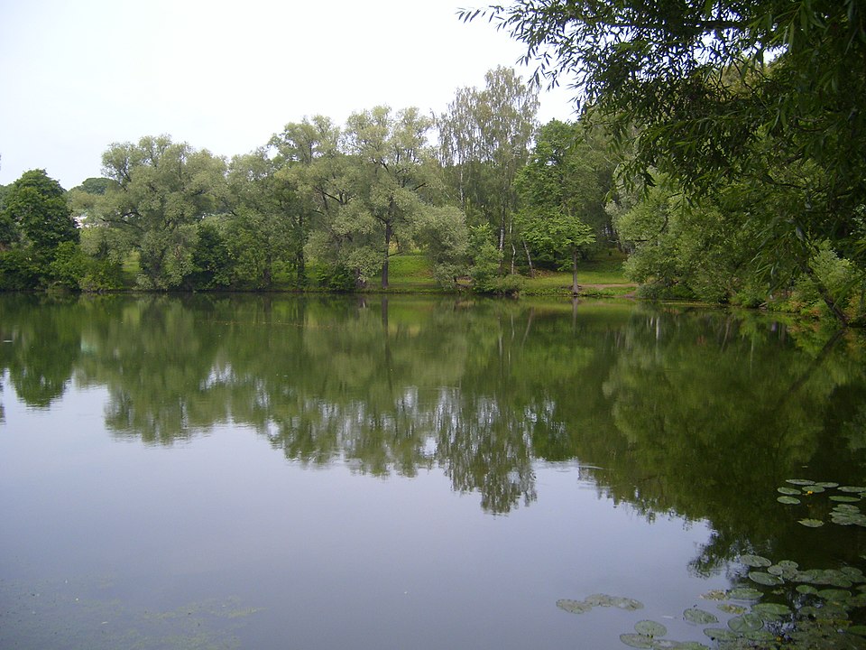 Yasnaya Polyana pond