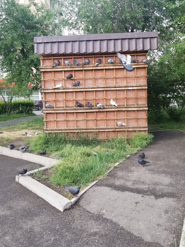A pigeon house in a park
