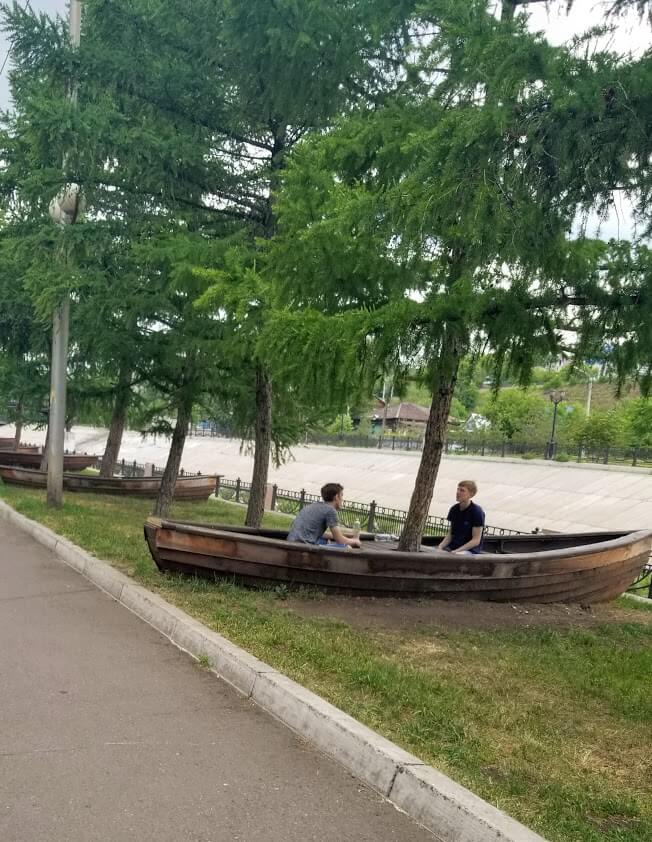 Pine trees growing out of boats