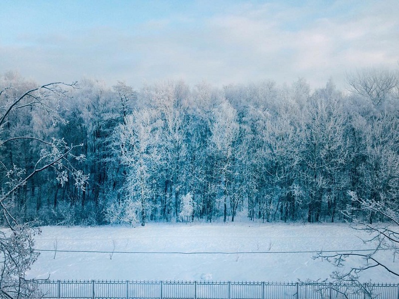 Smolenskoe cemetery