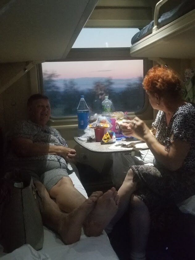 Woman eats sunflower seeds on train