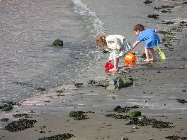 Children playing on the beach