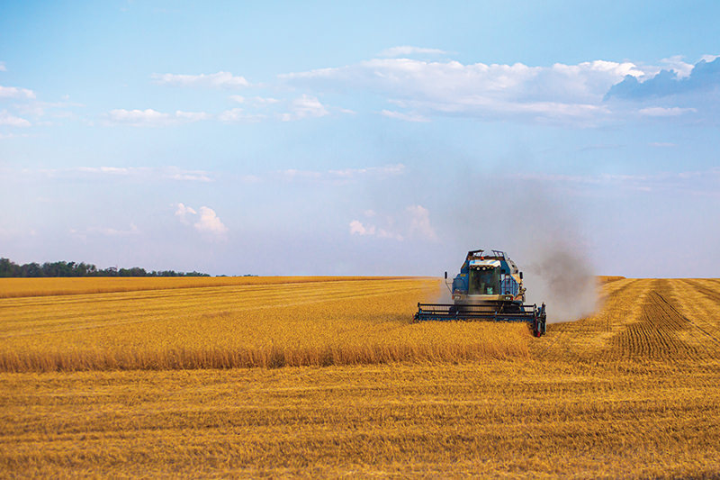 Harvester in a field.