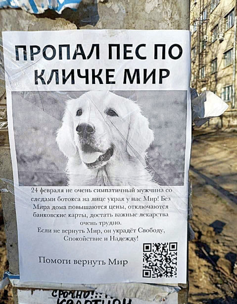 Flyer for lost "dog"