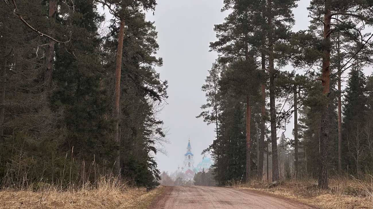 Church framed in trees and a road.