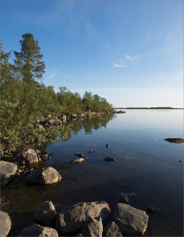 The Murman Coast