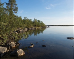 The Murman Coast