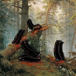 Bags in the Forest