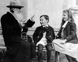 Fall, Tolstoy, Mushrooms