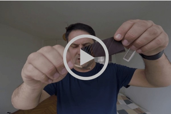 Singed Sweets and Stolen Sea-Dwellers