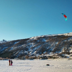 Kite