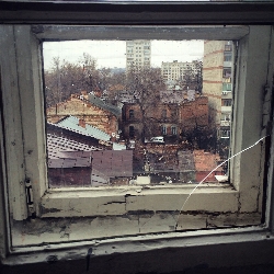 Window