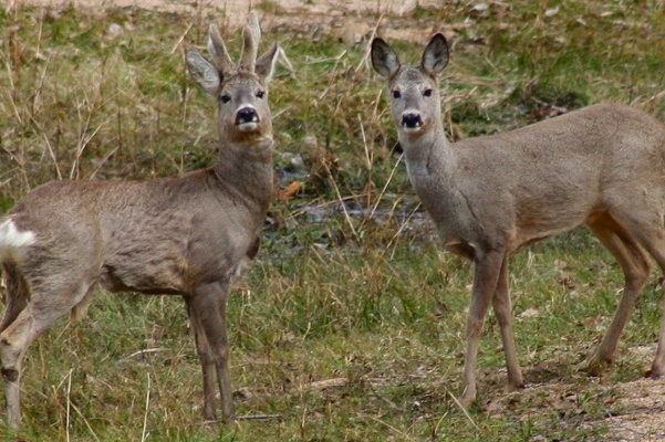 Not in the Job Description