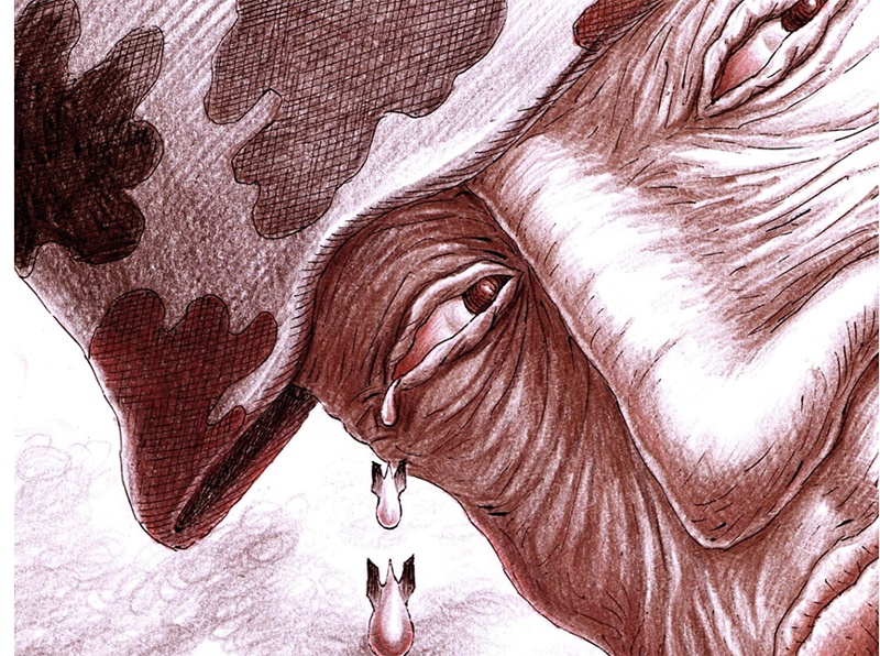 Say No to War: Political Cartoons by Ukrainian and Russian Artists