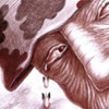 Say No to War: Political Cartoons by Ukrainian and Russian Artists