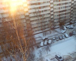 Salt and Loathing in St. Petersburg