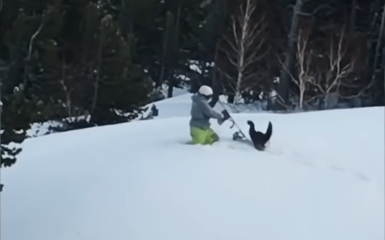 Snowboarder v. Snowbird