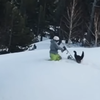 Snowboarder v. Snowbird