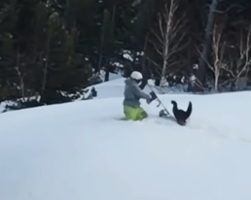 Snowboarder v. Snowbird