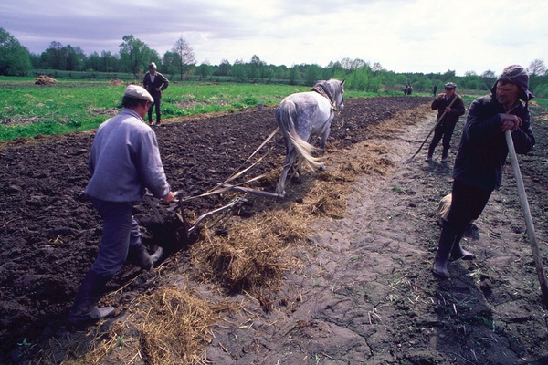 A Spring Day Feeds You For a Year