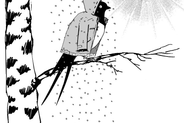 Spring has (Not) Sprung