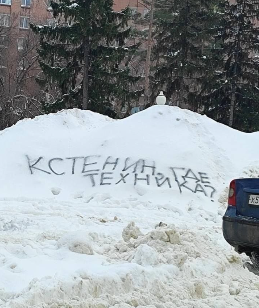 A Snowy Protest