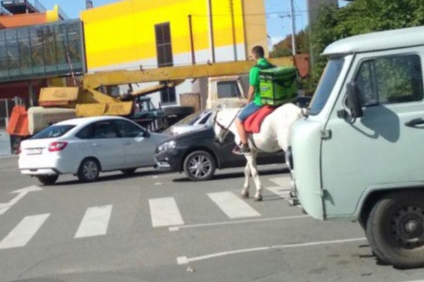 Come Hell or High Horses, Let's Save This Plane!