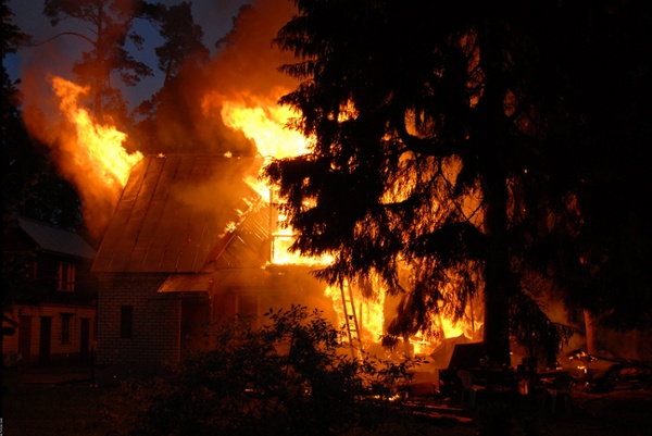 Beware the Partisans