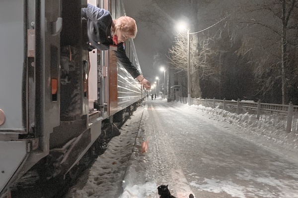 Hoping to Find a Furry Friend