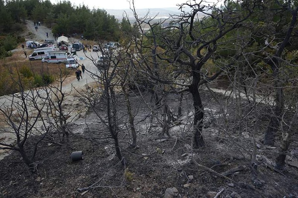 Putin's Palace Saved from Wildfire