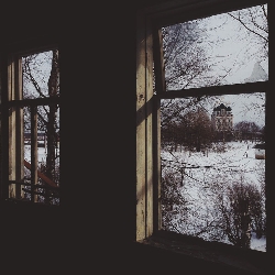 Window