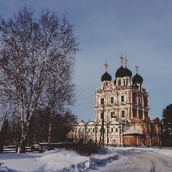 Church and Tree