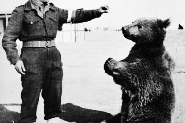 RuNet: The Silly and the Serious