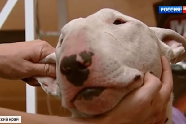 Warm Feelings for the Cool Weather