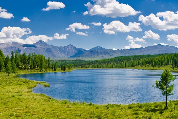 The Most Important Thing We Have Done?