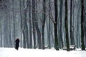 Winter