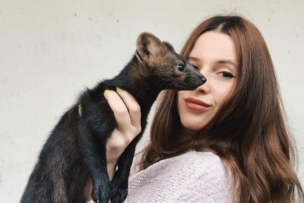 Meet Russia's favorite sable