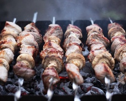 Defender of the Grill