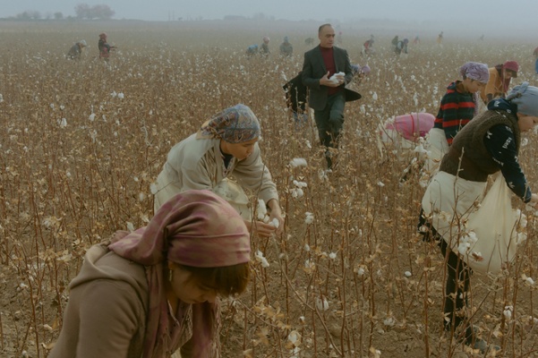 Welcome To Modern Slavery