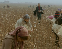 Welcome To Modern Slavery