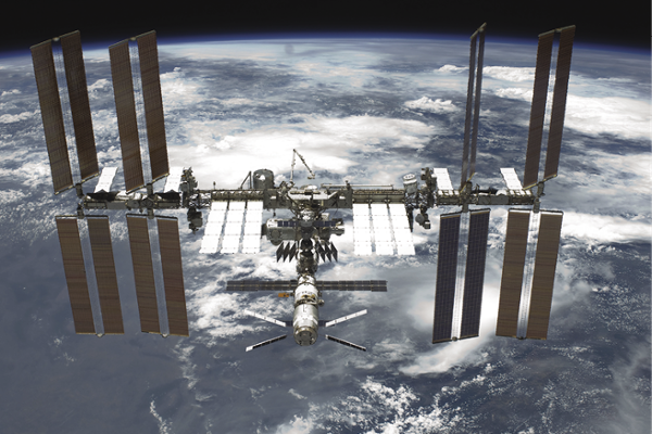 Space, Felix, and Banyas