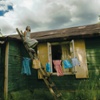 Dacha: A Love Story