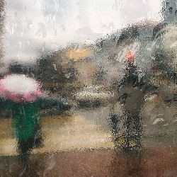 Rainy Day